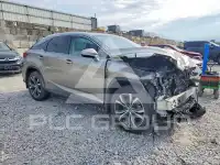 2022 Lexus RX350 фото