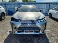 2022 Lexus  фото