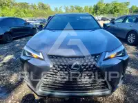 2022 Lexus UX250 photo