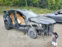 2022 Lexus NX фото