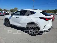 2022 Lexus NX фото