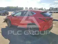 2022 Lexus NX фото