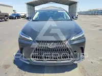 2022 Lexus NX250 фото