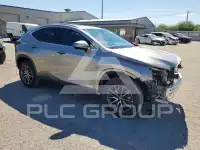 2022 Lexus NX фото