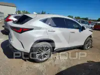 2022 Lexus NX photo