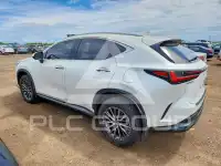 2022 Lexus NX фото