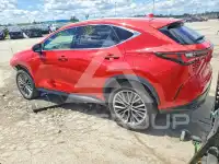 2022 Lexus NX250 photo