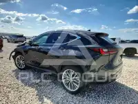 2022 Lexus NX фото