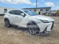 2022 Lexus NX250 фото