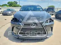 2022 Lexus NX фото