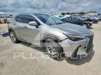 2022 Lexus NX фото
