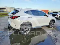 2022 Lexus NX photo