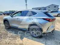 2022 Lexus NX фото