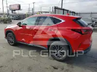 2022 Lexus NX250 photo