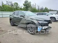 2022 Lexus NX фото