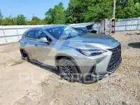2022 Lexus NX фото