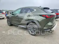 2022 Lexus NX фото