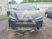 2022 Lexus NX фото