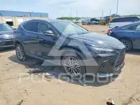 2022 Lexus NX250 photo