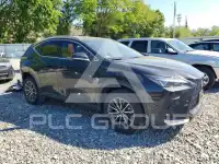 2022 Lexus NX фото