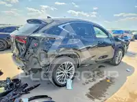 2022 Lexus NX фото