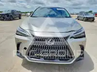 2022 Lexus NX фото
