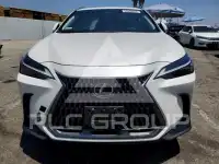 2022 Lexus NX фото