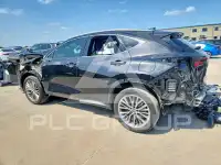 2022 Lexus NX фото