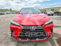 2022 Lexus NX фото