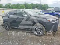 2022 Lexus NX фото