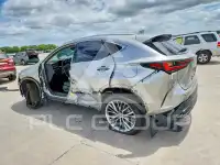 2022 Lexus NX фото