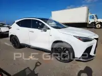 2022 Lexus NX фото