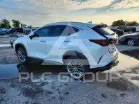 2022 Lexus NX photo