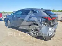 2022 Lexus NX фото