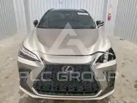 2022 Lexus NX250 фото