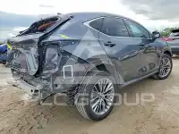 2022 Lexus NX фото