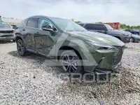 2022 Lexus NX фото
