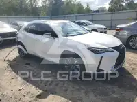 2022 Lexus UX фото
