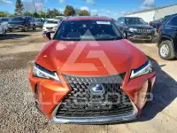2022 Lexus UX фото