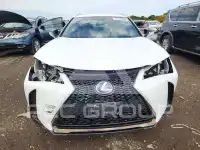 2022 Lexus UX photo