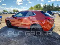 2022 Lexus UX фото