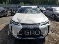 2022 Lexus UX фото