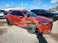 2022 Lexus UX фото