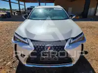 2022 Lexus UX фото