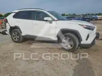 2022 Toyota RAV4 photo