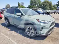 2022 Toyota RAV4 photo
