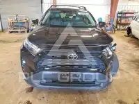 2022 Toyota RAV4 photo