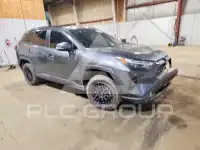 2022 Toyota RAV4 photo