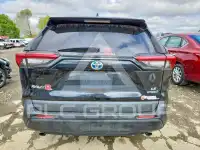 2022 Toyota RAV4 фото