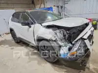 2022 Toyota RAV4 фото